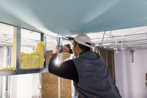 Best Geographic-Specific Insulation Services in Wyomissing, PA