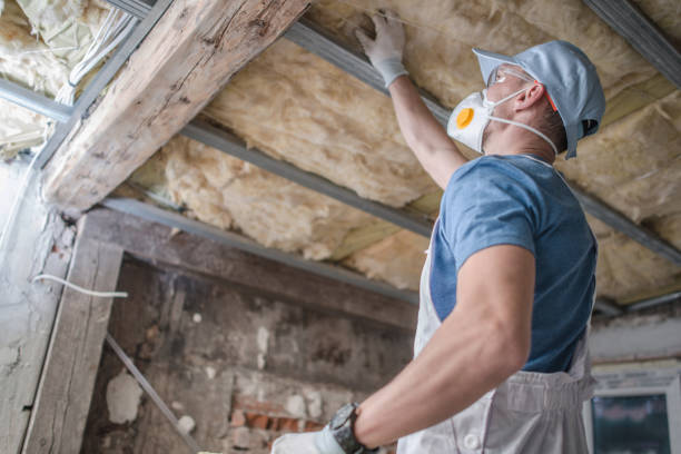 Best Insulation Maintenance and Repair in Wyomissing, PA