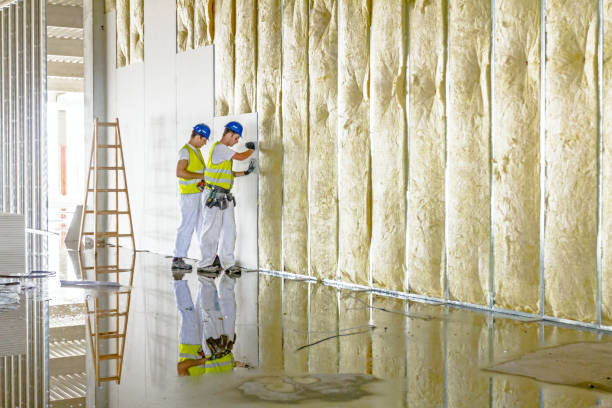 Types of Insulation We Offer in Wyomissing, PA